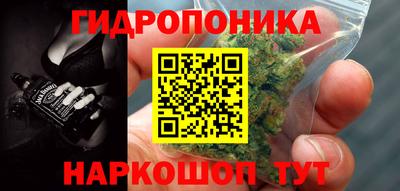 меф Гатчина