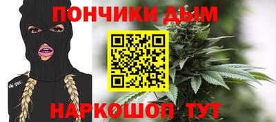 меф Гатчина