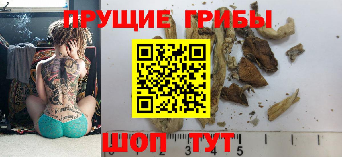 Псилоцибиновые грибы Psilocybine cubensis  Вход с VPN  сколько стоит  Буйнакск  Псилоцибиновые грибы мухоморы 